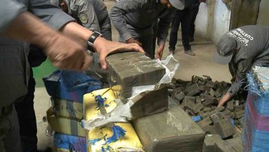 Photo of Plus de 100 kg de drogue saisis à Alger et 11 suspects arrêtés