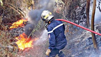Photo of Feux de forêts à Blida : un pompier décède