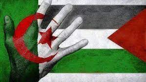 Photo of Sommet sur la Palestine à Alger: « une avancée importante » pour sortir la région de ses crises