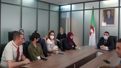Photo of Une plateforme d’inscription numérique en faveur des artisans algériens