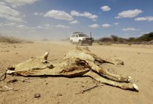 Photo of Plus d’un million de personnes sont sans abri à cause de la sécheresse (ONU)