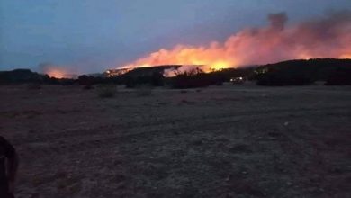 Photo of TÉBESSA: 150 ha de couvert végétal ravagés par le feu à Djebel El Haoud à Morsott