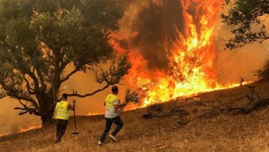 Photo of TIARET :  Campagne de sensibilisation pour la prévention contre les incendies de forêts