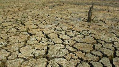 Photo of SÉCHERESSE :  Les conditions de sécheresse persistent dans la Corne de l’Afrique par manque de pluie (IGAD)