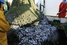 Photo of Présentation de la feuille de route du secteur de la pêche et des productions halieutiques