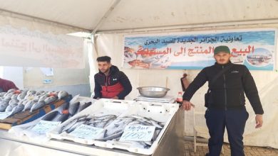 Photo of Produits halieutiques: l’opération de vente directe « du producteur au consommateur » lancée à Alger