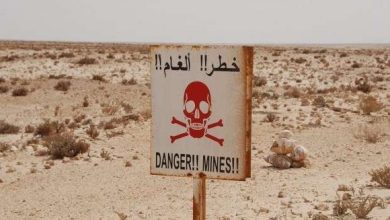 Photo of L’élimination des mines antipersonnel, l’autre combat du continent africain