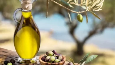 Photo of L’huile d’olive « Dahbia » primée en Suisse