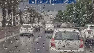 Photo of BMS : des pluies sous forme d’averses affecteront samedi plusieurs wilayas du centre du pays