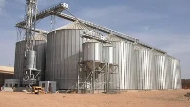Photo of Ain Defla : le projet du complexe de stockage des céréales d’El Attaf relancé