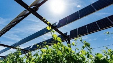 Photo of Energie solaire: un programme spécial pour les exploitations agricoles et les zones d’habitation éloignées