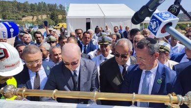 Photo of Le Premier ministre entame samedi une visite de travail et d’inspection à Guelma, Annaba et El Tarf