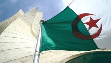 Photo of Les résultats positifs enregistrés par l’Algérie sous la conduite du Président Tebboune salués