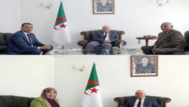 Photo of Le ministre des Transports reçoit des membres de l’APN des wilayas de Boumerdes et M’sila