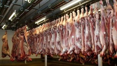 Photo of L’importation des viandes, une mesure conjoncturelle à même d’assurer un approvisionnement normal du marché