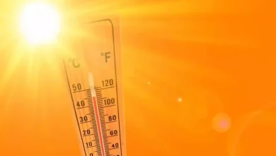 Photo of BMS : une vague de chaleur affectera samedi et dimanche des wilayas du Centre et de l’Est du pays