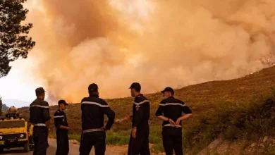 Photo of Tizi-Ouzou : d’importants moyens mobilisés pour l’extinction des incendies 