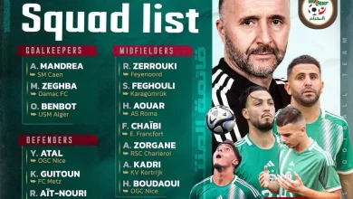 Photo of Les Verts : 25 joueurs retenus pour les matchs amicaux face au Cap Vert et l’Egypte, une première pour Gouiri et Belloumi
