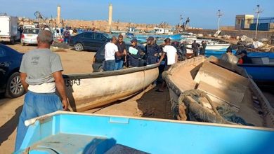 Photo of Gouvernement: examen du bilan de l’indemnisation des pêcheurs sinistrés à Tipasa