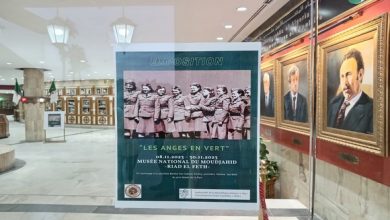 Photo of Vernissage à Alger de l’exposition tchèque « Les Anges en Vert » dédiée à la femme au combat