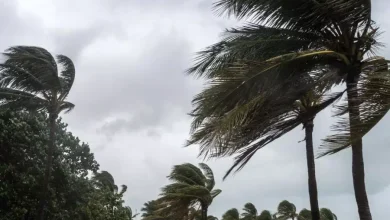 Photo of Des vents forts souffleront jusqu’à mercredi sur plusieurs wilayas