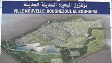 Photo of Ville nouvelle de Boughezoul: un projet en mesure d’impulser une dynamique économique
