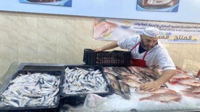 Photo of Pêche: lancement de la vente de la sardine à 500 DA/Kg dans plusieurs wilayas