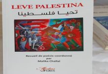 Photo of Leve Palestina: un nouveau livre de solidarité avec le peuple palestinien