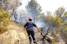 Photo of MÉDÉA :  Exercice de simulation de lutte contre un incendie au massif forestier de Dhaia