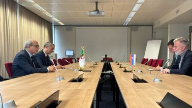 Photo of Bibi Triki rencontre son homologue serbe à Genève