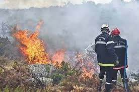 Photo of TOUGGOURT :  Intense programme de sensibilisation à la prévention des feux de palmeraies