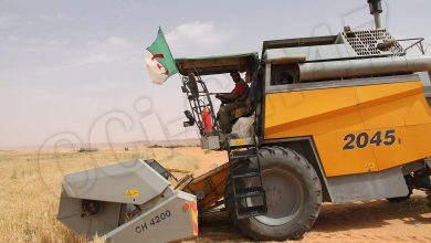 Photo of Plus de 1940 exploitations agricoles recensées à Ghardaïa