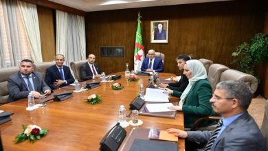Photo of Boughali tient une rencontre virtuelle avec la présidente du Parlasur