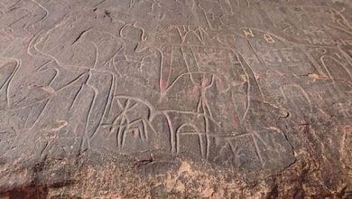 Photo of Batna: 4 sites de gravures rupestres inscrits sur l’inventaire supplémentaire des biens culturels