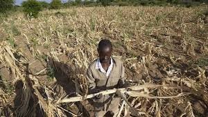 Photo of ZAMBIE :  Frappé par la sécheresse, le pays va recevoir 574 millions de dollars du FMI