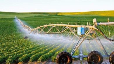 Photo of ONTA: plus de 1,2 million d’hectares de terres à mettre en valeur par la concession