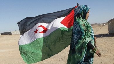 Photo of La fédération internationale des Journalistes solidaires avec le peuple sahraoui condamne le soutien de la France au plan marocain