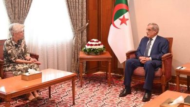 Photo of Le Premier ministre reçoit l’ambassadrice des Pays-Bas à Alger