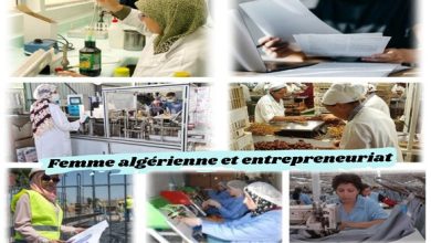 Photo of Constante évolution de la place des femmes dans l’entrepreneuriat ces dernières années