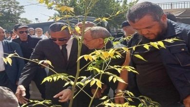 Photo of Batna: l’association « Algérie Verte » lance une vaste campagne de boisement en milieu urbain