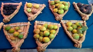 Photo of Tizi-Ouzou: améliorer la production de figues, principal objectif de la fête de Lemsella