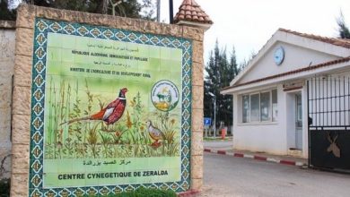 Photo of Préservation du gibier en Algérie: reproduction de plus de 6000 perdrix gambra au Centre cynégétique de Zéralda en 2024