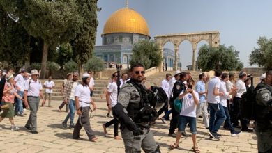 Photo of Palestine: des dizaines de colons sionistes prennent d’assaut l’esplanade de la mosquée Al-Aqsa