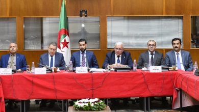 Photo of APN: Merad présente un exposé devant la Commission des finances et du budget