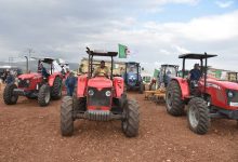 Photo of Campagne labours-semailles à Tizi-Ouzou : 8.450 hectares concernés