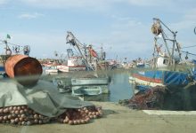 Photo of Négociations en cours pour baisser les droits d’accès des pêcheurs algériens aux eaux mauritaniennes