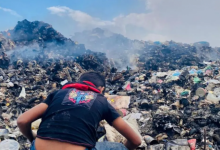 Photo of Mise en garde contre un «effondrement environnemental» à Ghaza