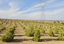 Photo of PROJET DE RÉHABILITATION DU BARRAGE VERT :  Cherfa salue le progrès réalisé et appelle à en consentir davantage d’efforts