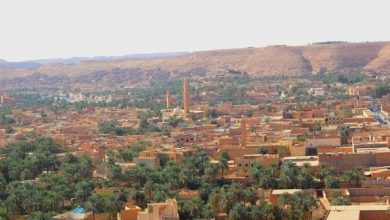 Photo of TOURISME SAHARIEN :  Affluence de nombreux groupes de touristes nationaux et étrangers à Ghardaïa