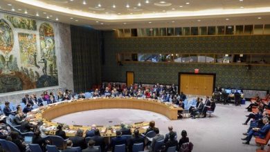 Photo of En sa qualité de présidente en exercice du Conseil de sécurité international, l’Algérie assurera le suivi de l’application de l’accord de cessez-le-feu à Ghaza